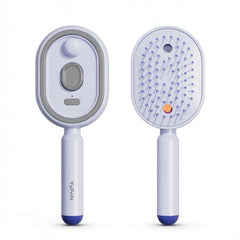 Royal Electric Spray Airbag Massage Comb Essential Oil Atomized Hair Brush