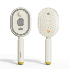 Royal Electric Spray Airbag Massage Comb Essential Oil Atomized Hair Brush
