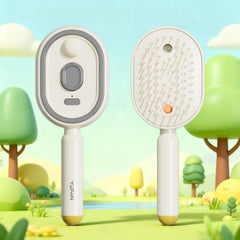 Royal Electric Spray Airbag Massage Comb Essential Oil Atomized Hair Brush