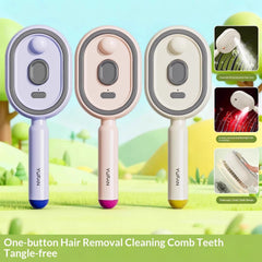 Royal Electric Spray Airbag Massage Comb Essential Oil Atomized Hair Brush